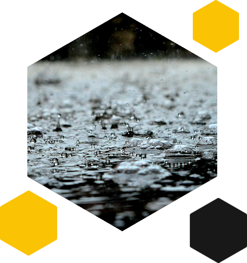 Rain Rain
